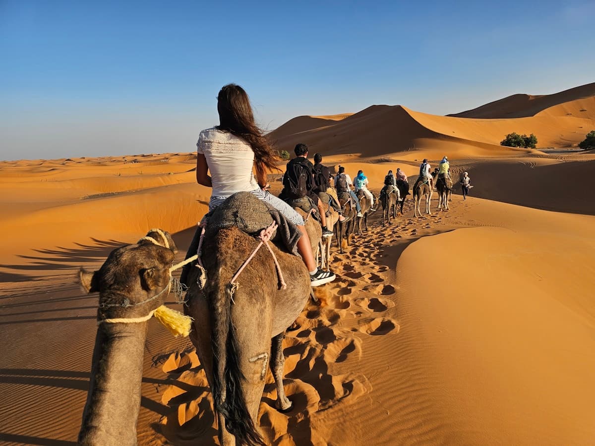 Merzouga Dunes - Photo 2
