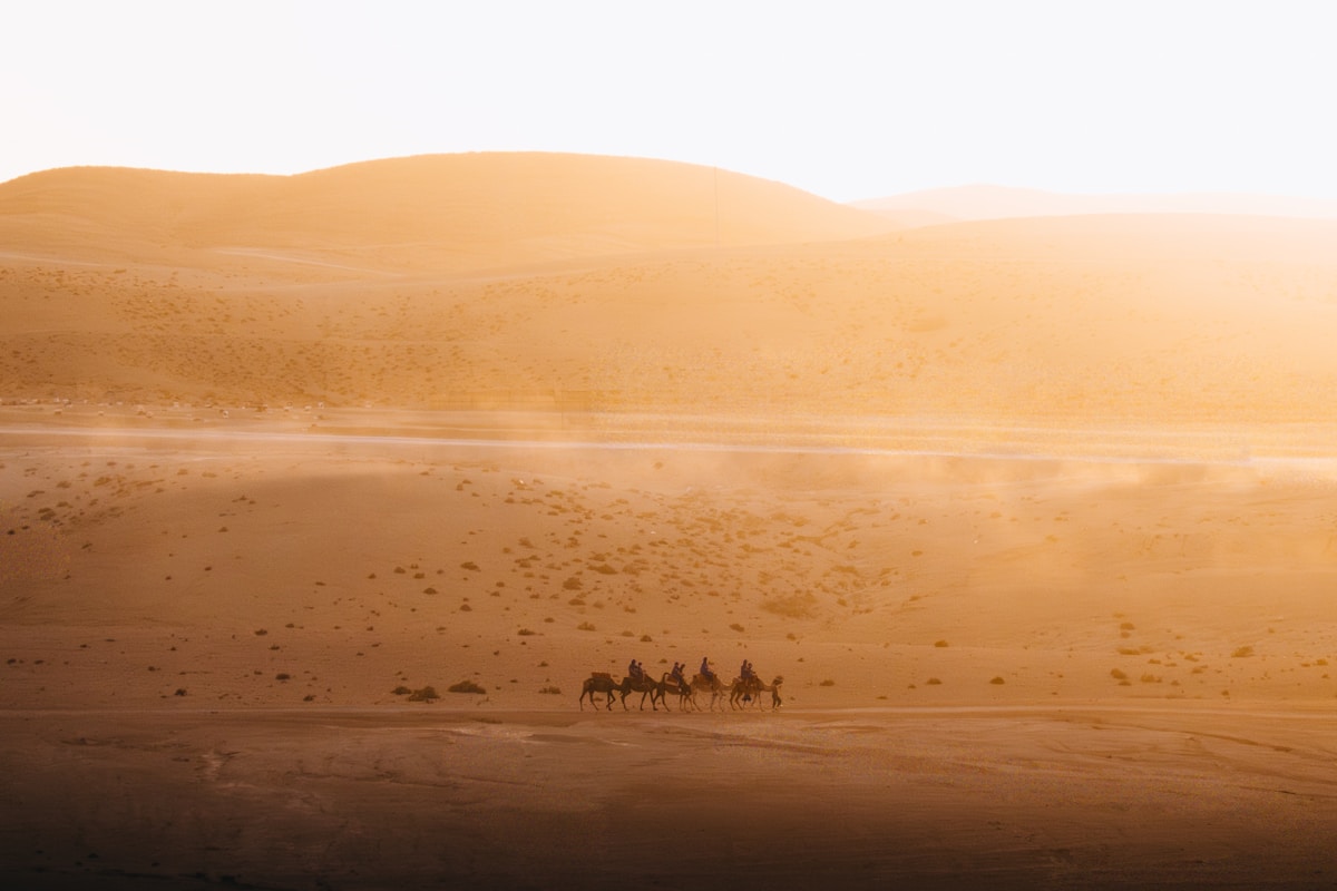 Caravane de chameaux traversant les dunes orangées de l'Erg Chebbi près de Merzouga