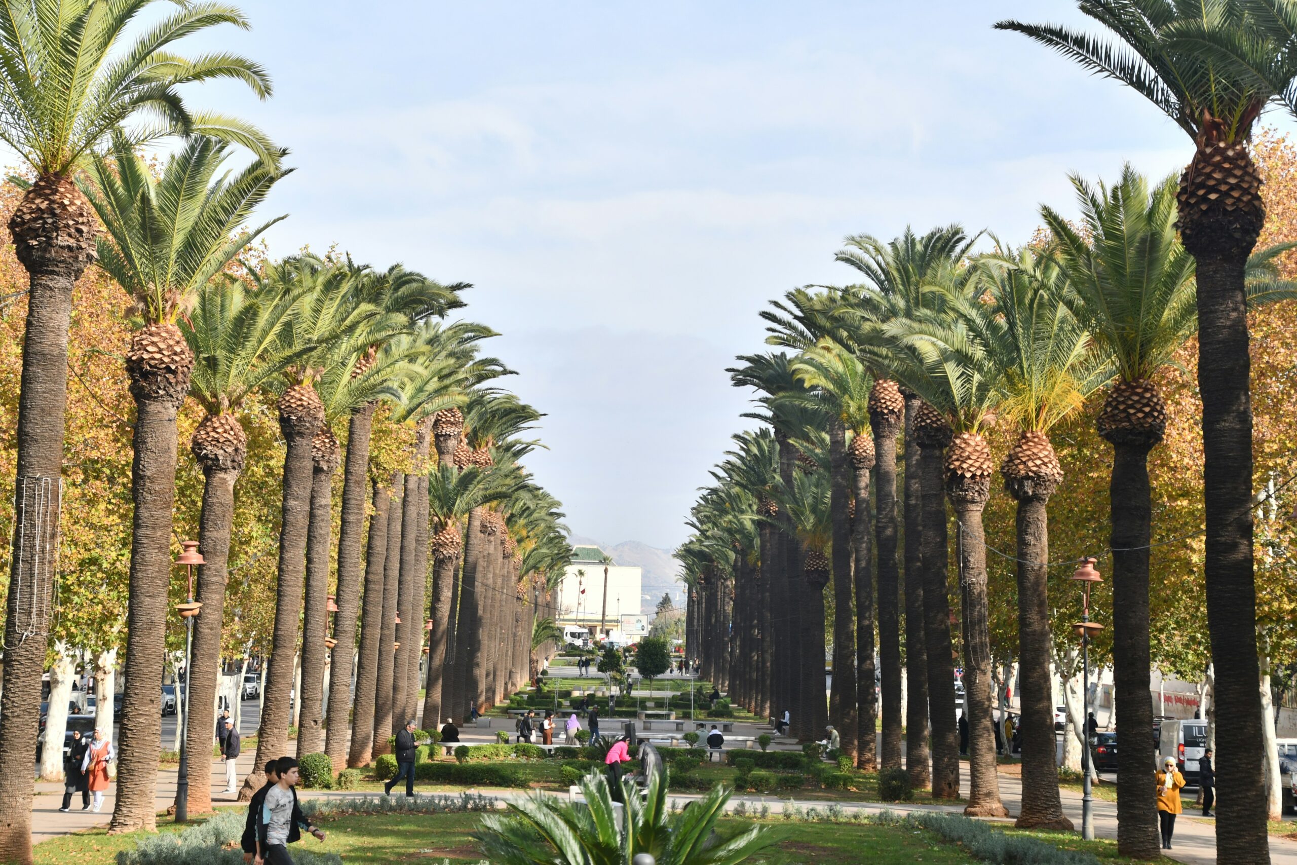 10 Day Imperial Cities Tour from Fes